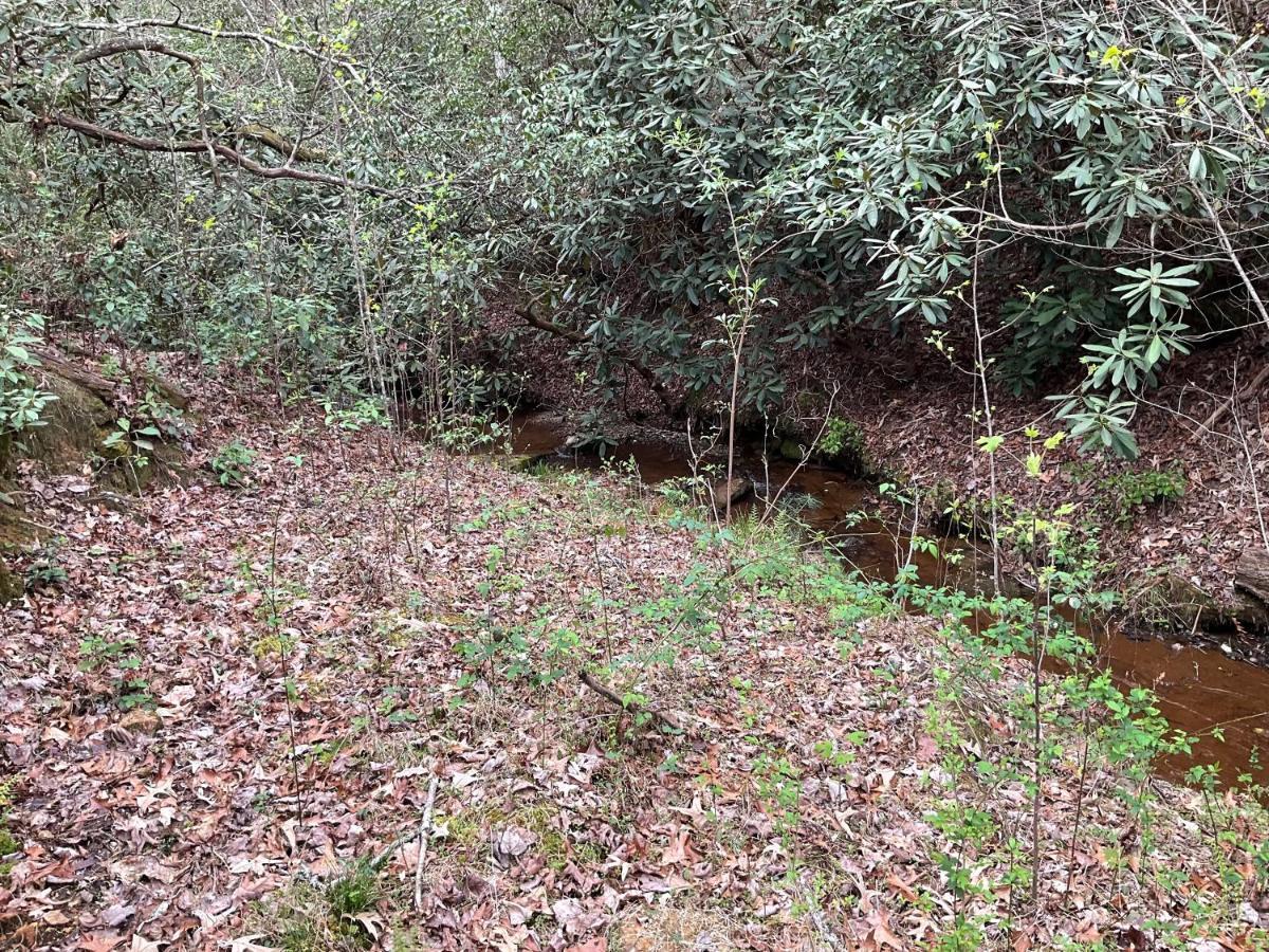 Tallulah Gorge Retreat Lakemont ภายนอก รูปภาพ