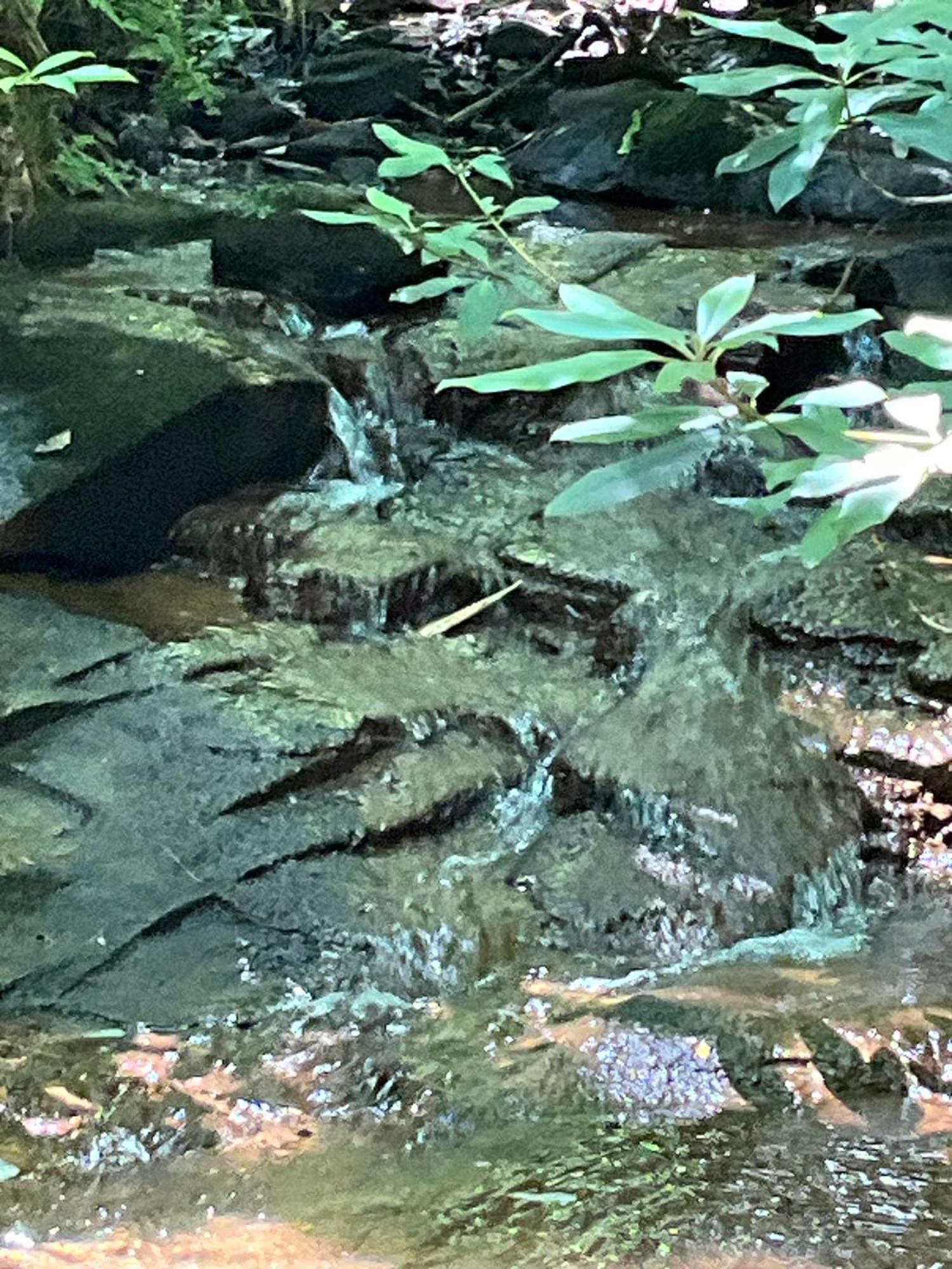 Tallulah Gorge Retreat Lakemont ภายนอก รูปภาพ