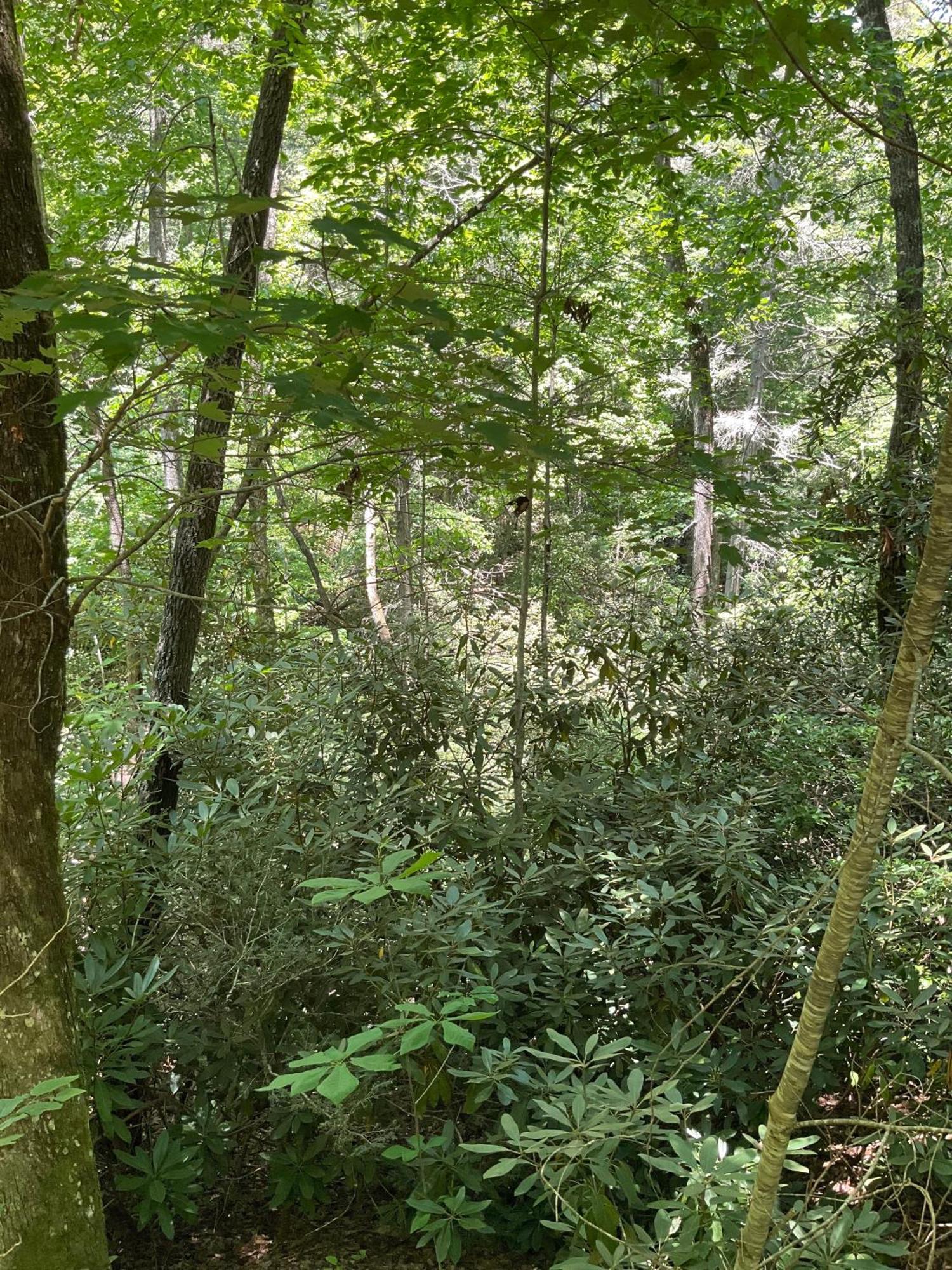Tallulah Gorge Retreat Lakemont ภายนอก รูปภาพ