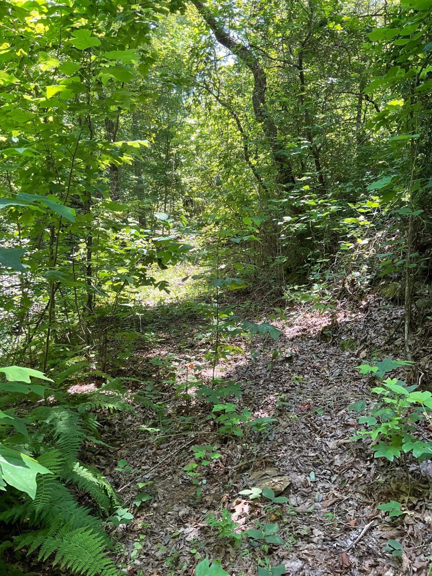 Tallulah Gorge Retreat Lakemont ภายนอก รูปภาพ